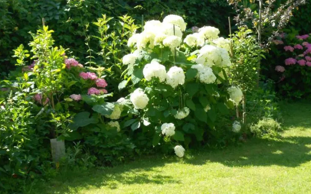 Chambre dHotes Elena