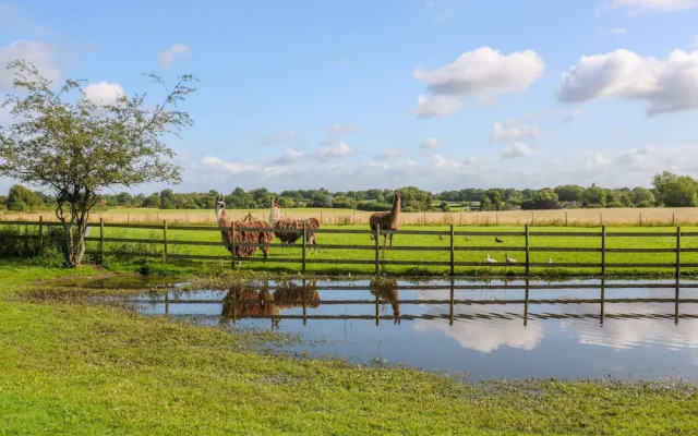 Chequer Stable