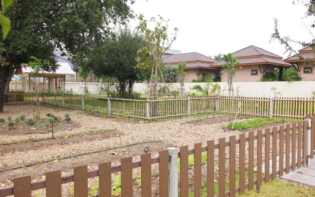 Zea Za Garden