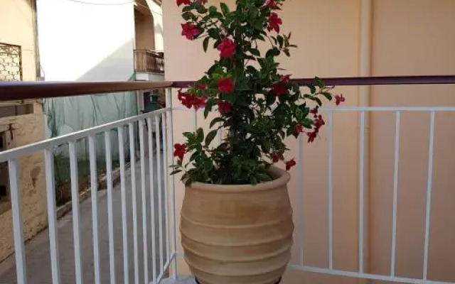Casa di fiori