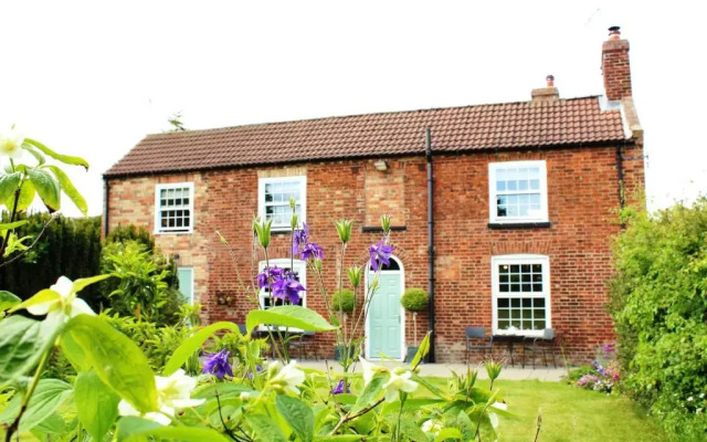 The Vine B & B
