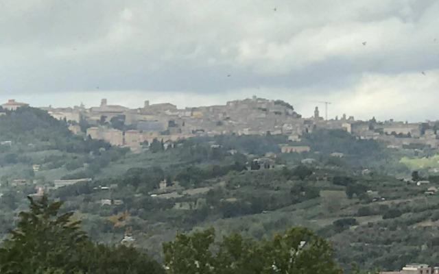 La Collina dei Ciliegi