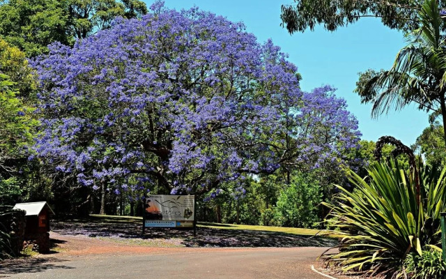 Ravensbourne Escape- Quingilli