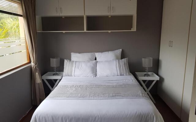 Paradise Flycatcher Accomodation