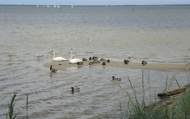 Apartament Babitonga I