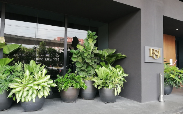 The Establishment Suite by De Space