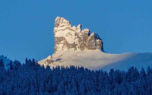 Rose Lauterbrunnen in Lauterbrunnen
