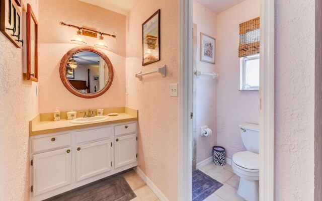 Turtle Paradise by Vtrips