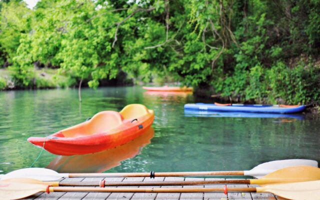 9 Son's Geronimo - Birdhouse Cabin