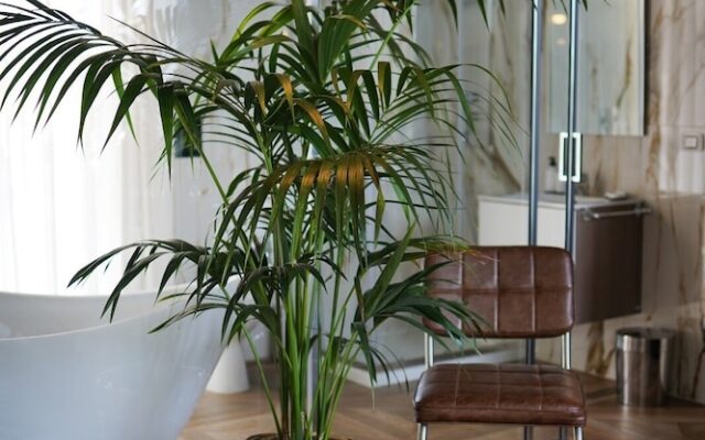 La Resilienza Relais