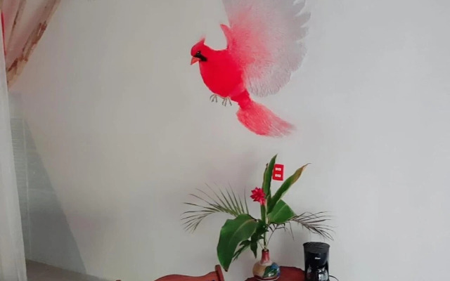 posada ixchel