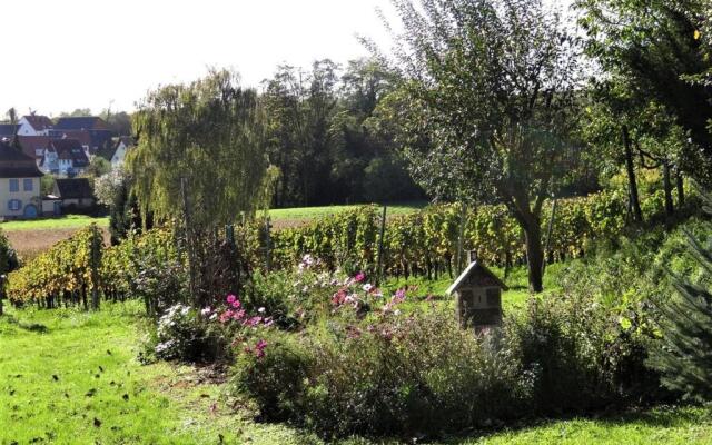 Zum Rebberg Ferienwohnungen