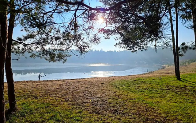 Luxe Tiny House op de Veluwe