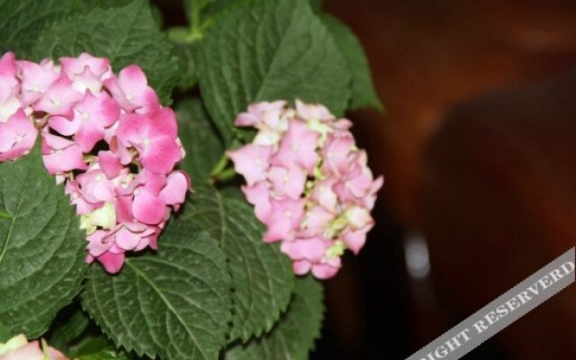 Haiyan Hotel Yangzhou