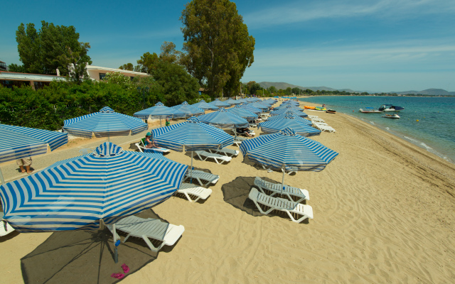 Golden Coast Hotel & Bungalows - All Inclusive