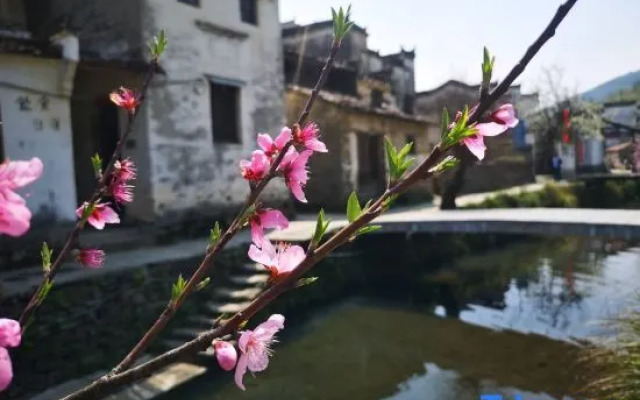 Wuyuan Nuanxinju Inn (Huangling Scenic Area Branch)