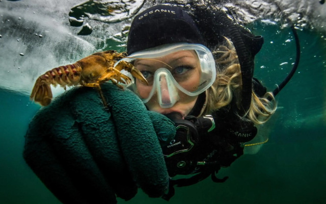 Appartements Herwig Schwarzenbacher