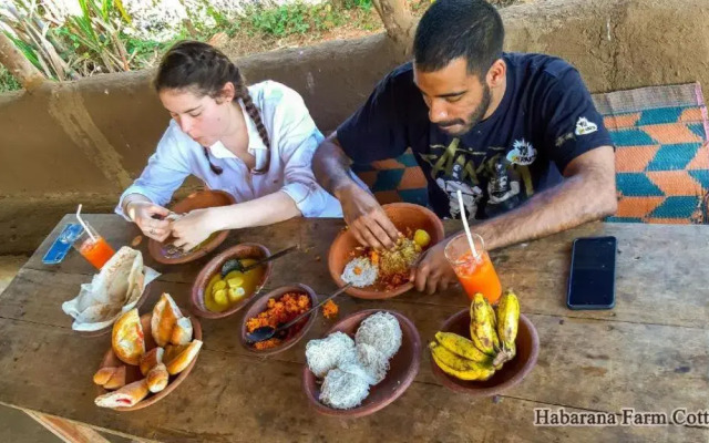 Suriya cottage Habarana