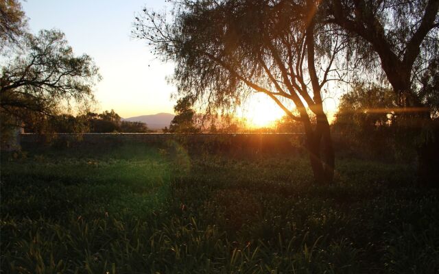 Living Spirit San Miguel de Allende