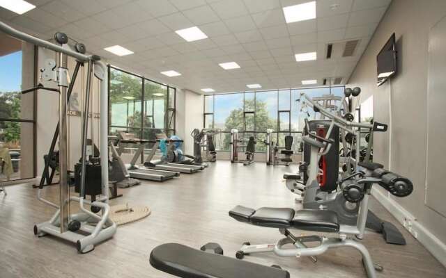Sandton Skye Suite 604