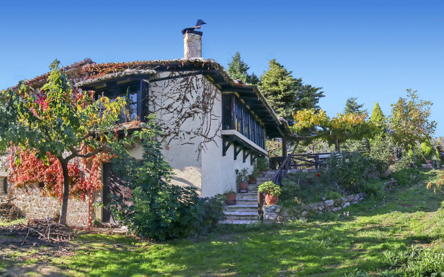 Ampelos Estate - The Studio