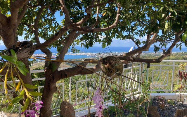 Nuu Fare Faa'a - Pamatai