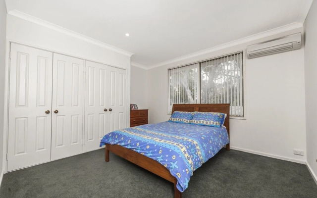 Sand Dunes Experience - Pet Friendly