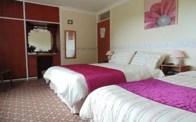 Mountain View B&B