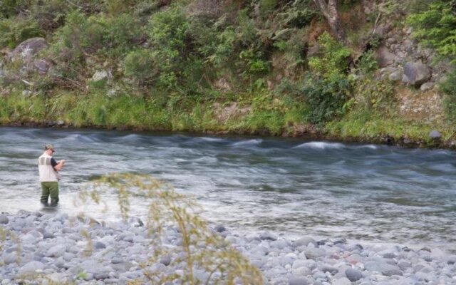 Turangi Trout Lodge