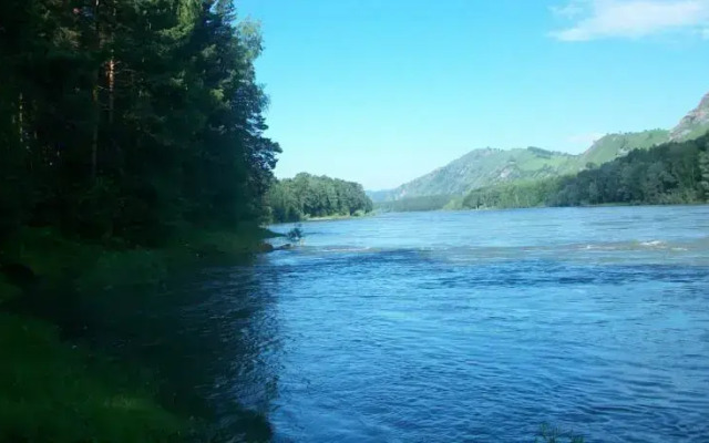 Комплекс Эдельвейс