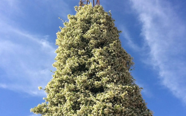 Peter Allen Motor Inn