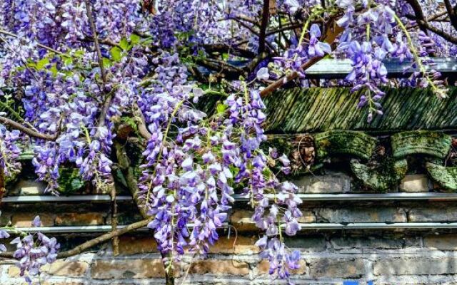 Yaoli Ancient Town Hotel