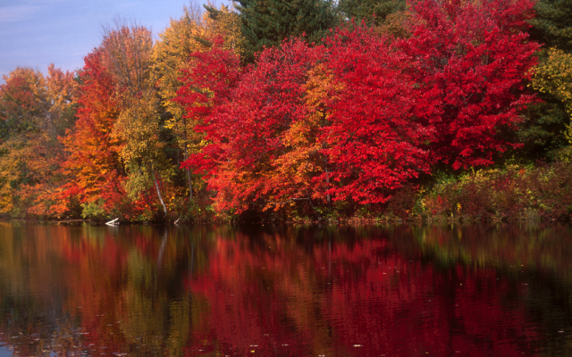 The Manor On Golden Pond