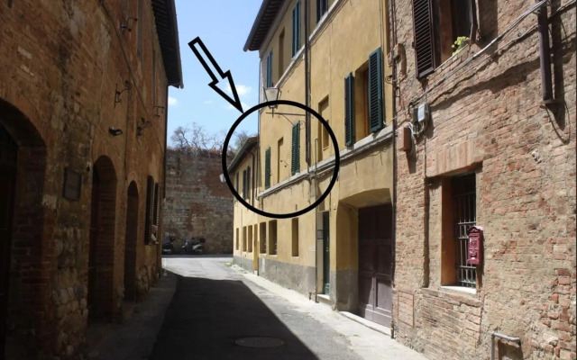 Lady Camollia Apartment