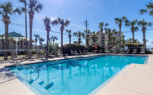 Caribbean Dunes #105