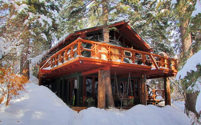 Treehouse by the Stream