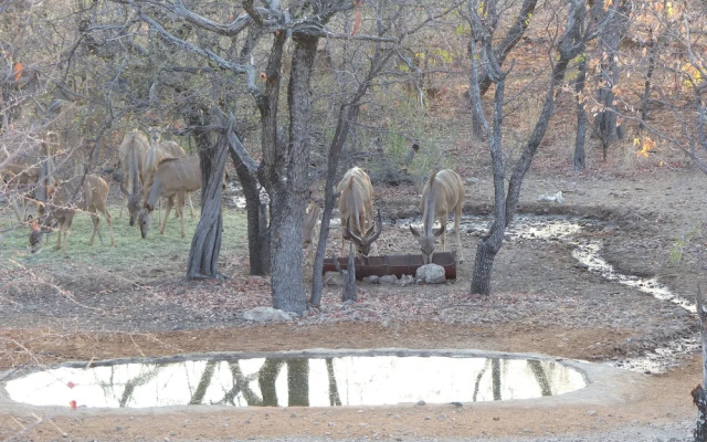 Uukwaluudhi Safari Lodge