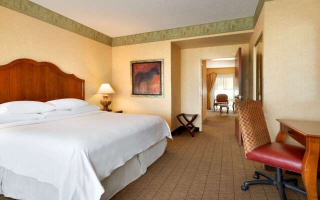 Embassy Suites by Hilton Albuquerque