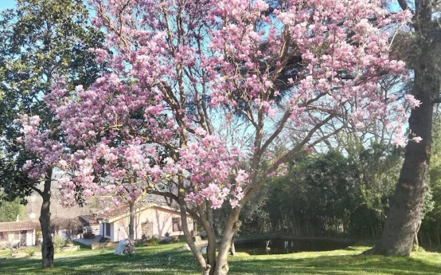 Rome Within Reach Relaxation, Nature, and a Private Pool!