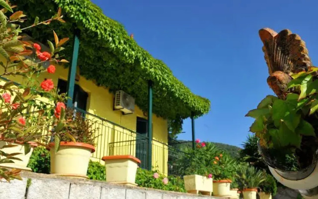 Studios Piratis