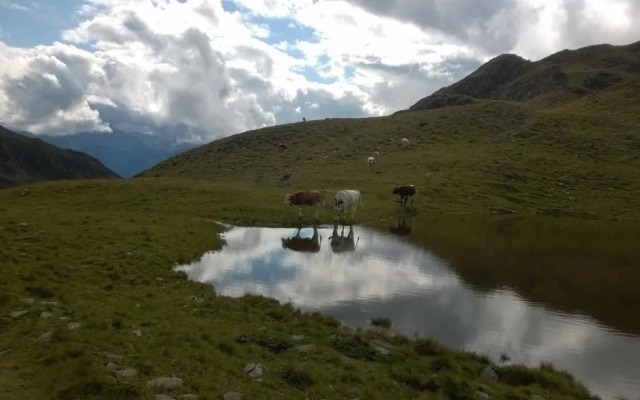 Ariston Dolomiti Residence