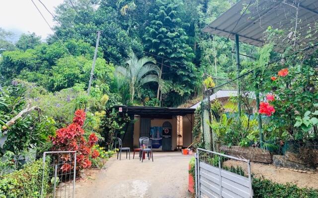 shepherd homestay