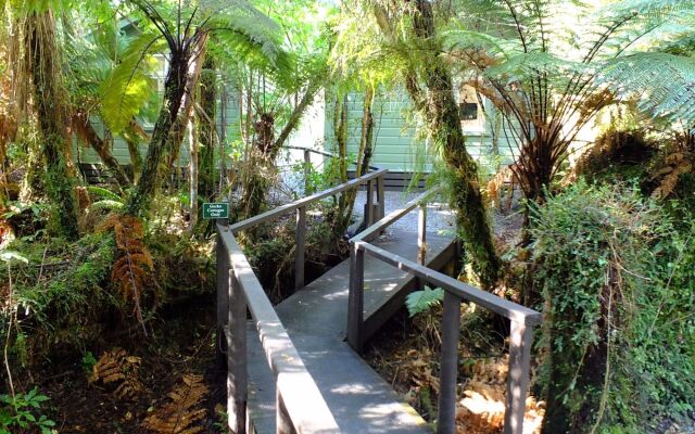 Rainforest Retreat