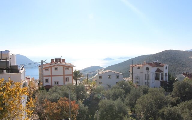 Villa Emir