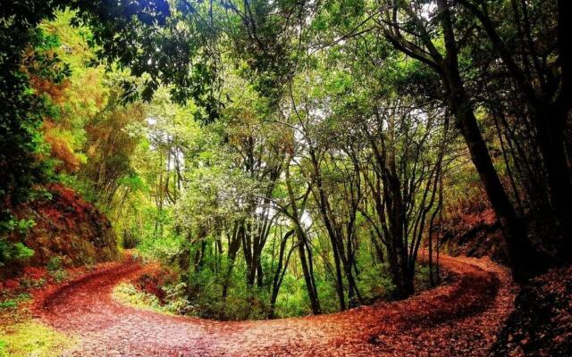 Home2Book Nature Carrizales and Masca House & Wifi