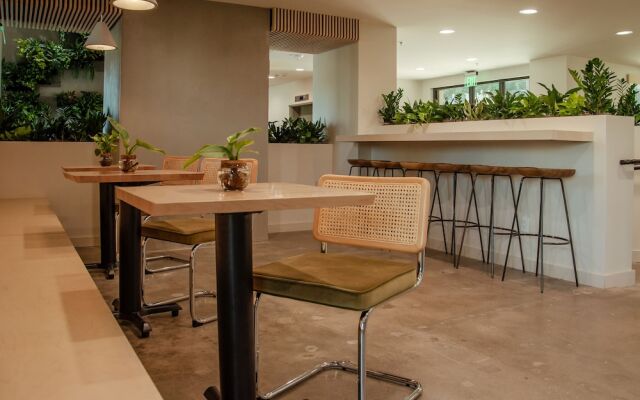 Brut Hotel
