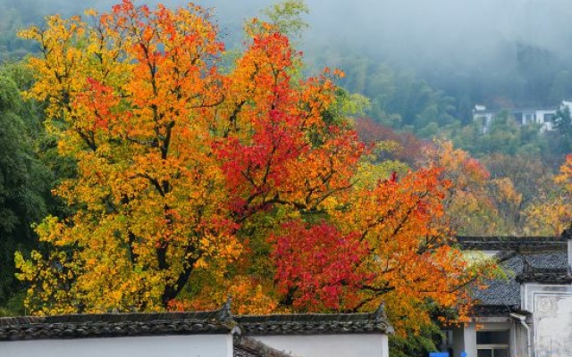 Hongcun Tachuan Alina Garden Vacation Apartment – Outside – Huangshan