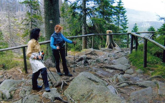 Pleasant Apartment in Bavaria
