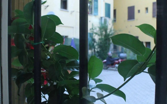 B&B Il Delfino a Bologna