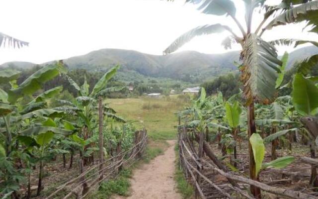 Ruhija Gorilla Lodge